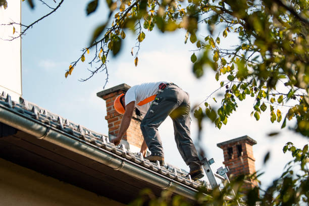 Roof Repair Estimates in Troup, TX
