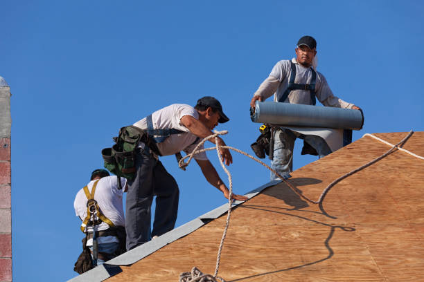 Best Roof Gutter Cleaning  in Troup, TX