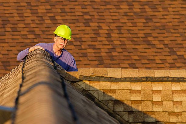 Best Roof Gutter Cleaning  in Troup, TX